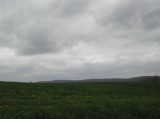 DSCN1466 * 2048 x 1536 * (629KB)